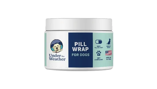 4.94oz Under the Weather Dog Pill Wrap - Health/First Aid
